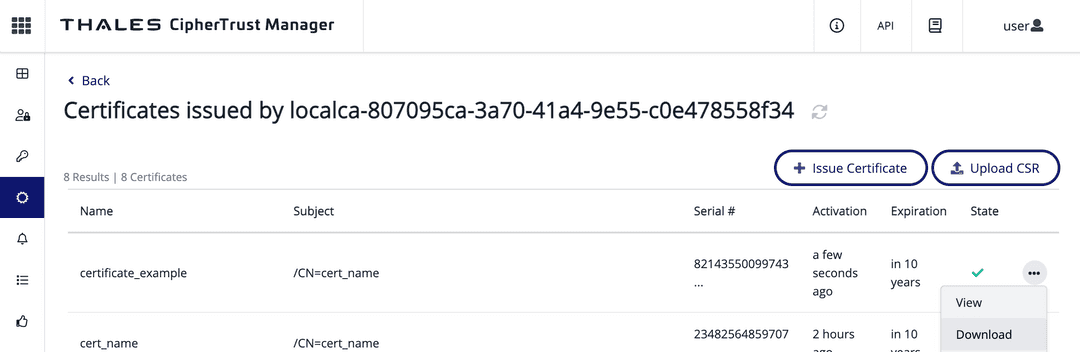 Download the issued certificate